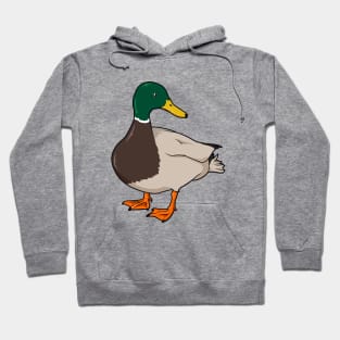 Drawing of mallard duck Hoodie